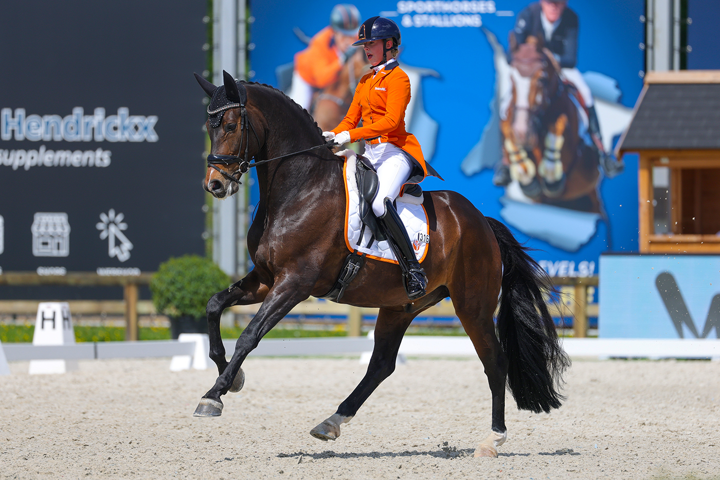 Montreux – in beweging 5