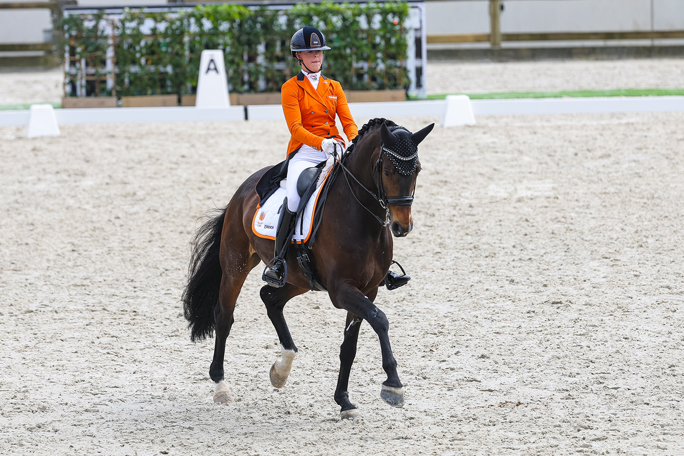 Montreux – in beweging 4