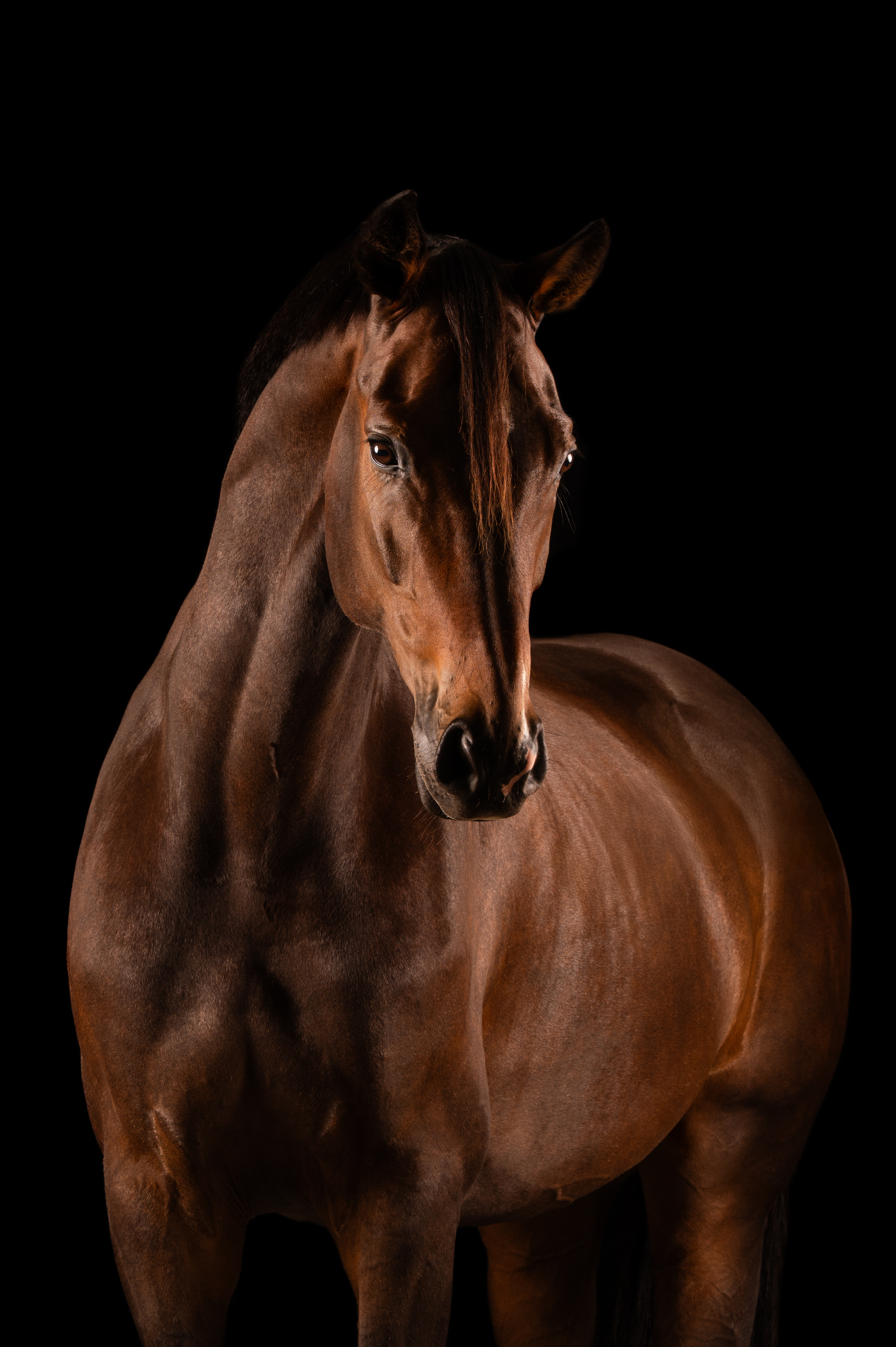 Montreux – Ferdeaux × San Remo