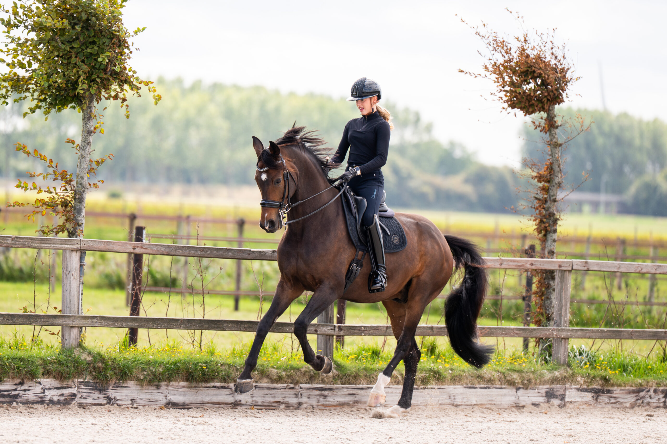 Montreux – in beweging 2