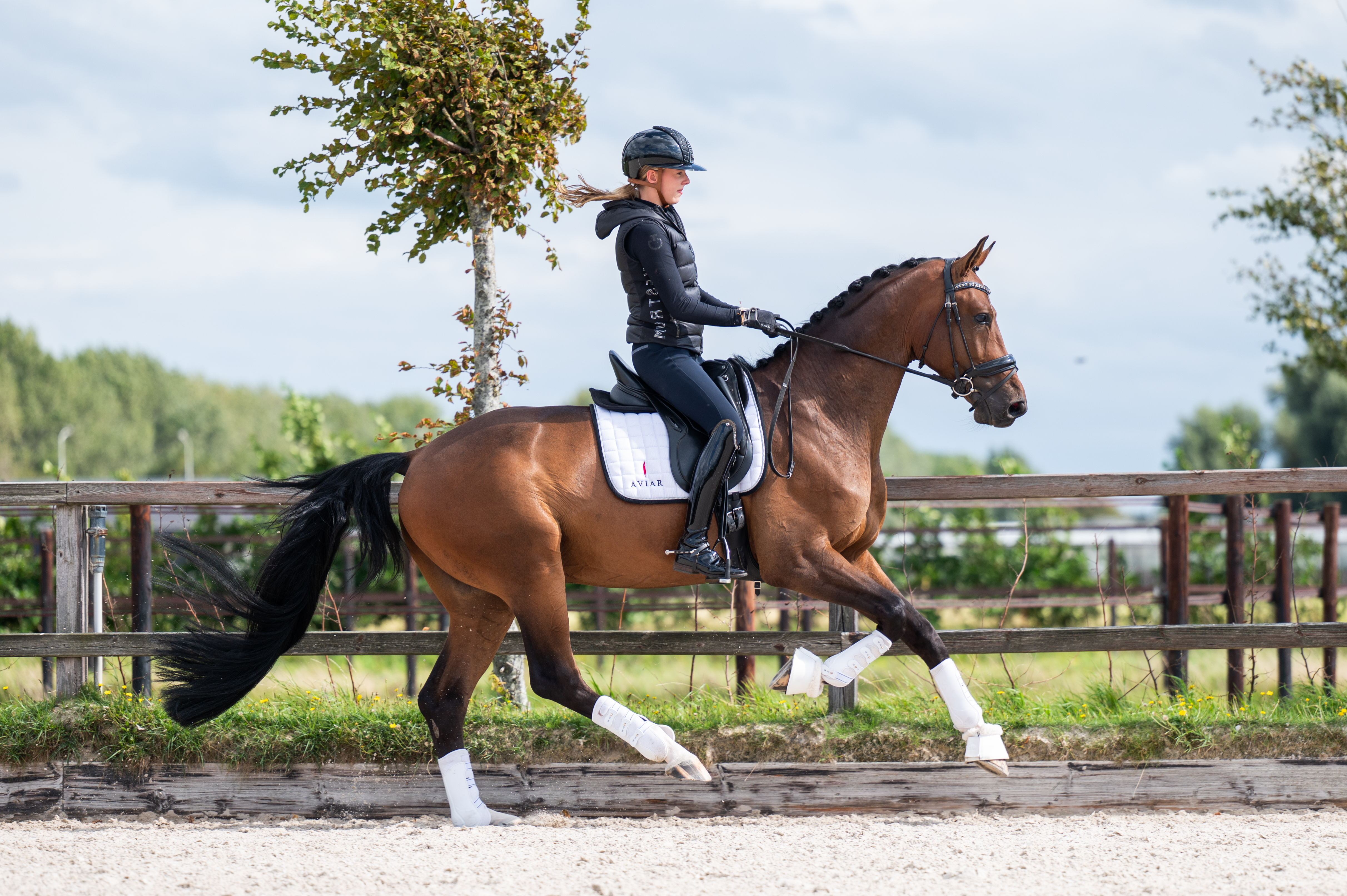 Batik’s King – in beweging