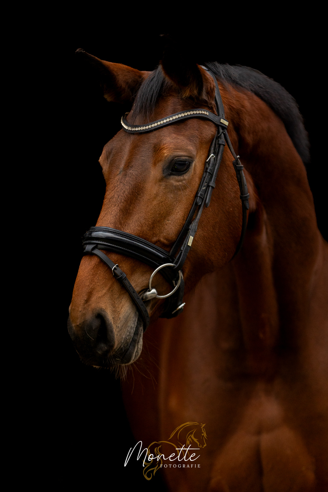 Coocookachou (Kaatje) – in beweging