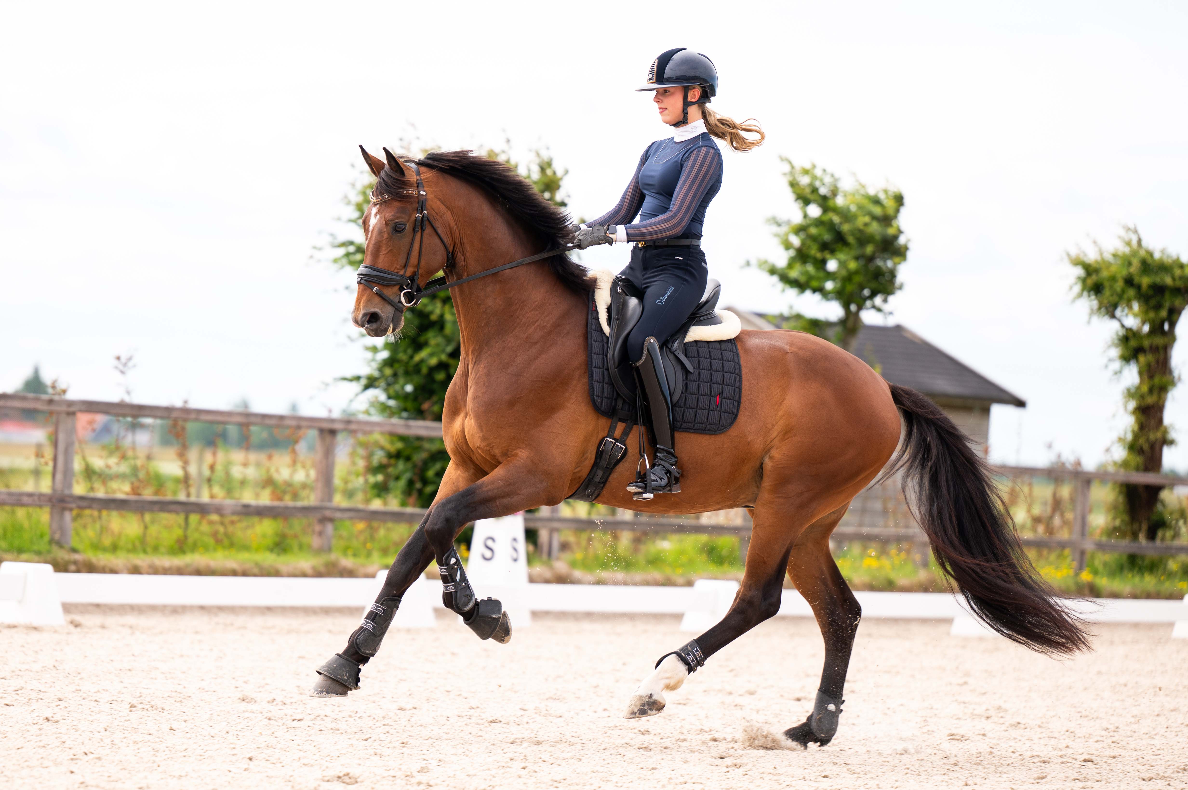 Oklahoma – op stal