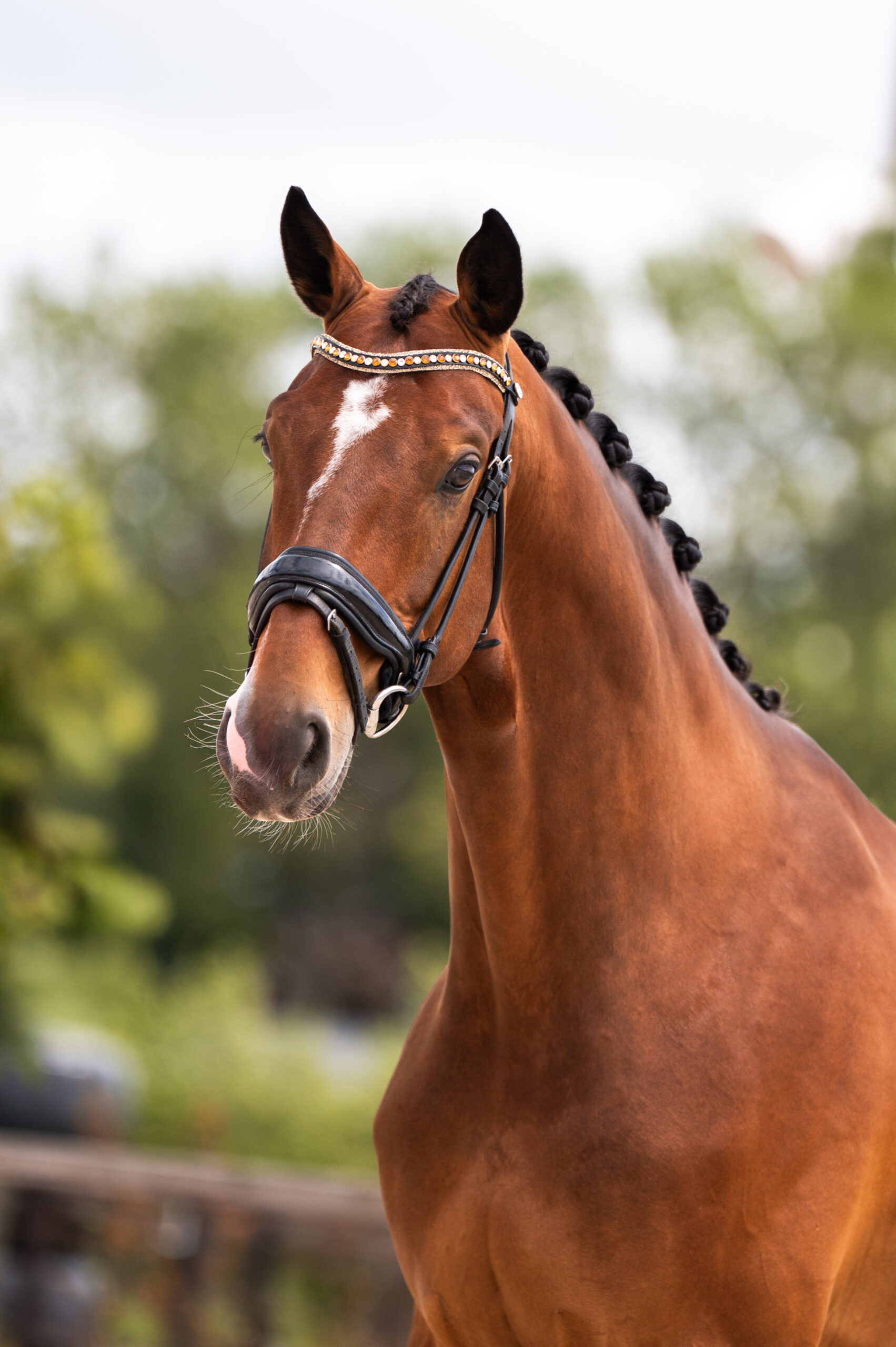 Oklahoma – training