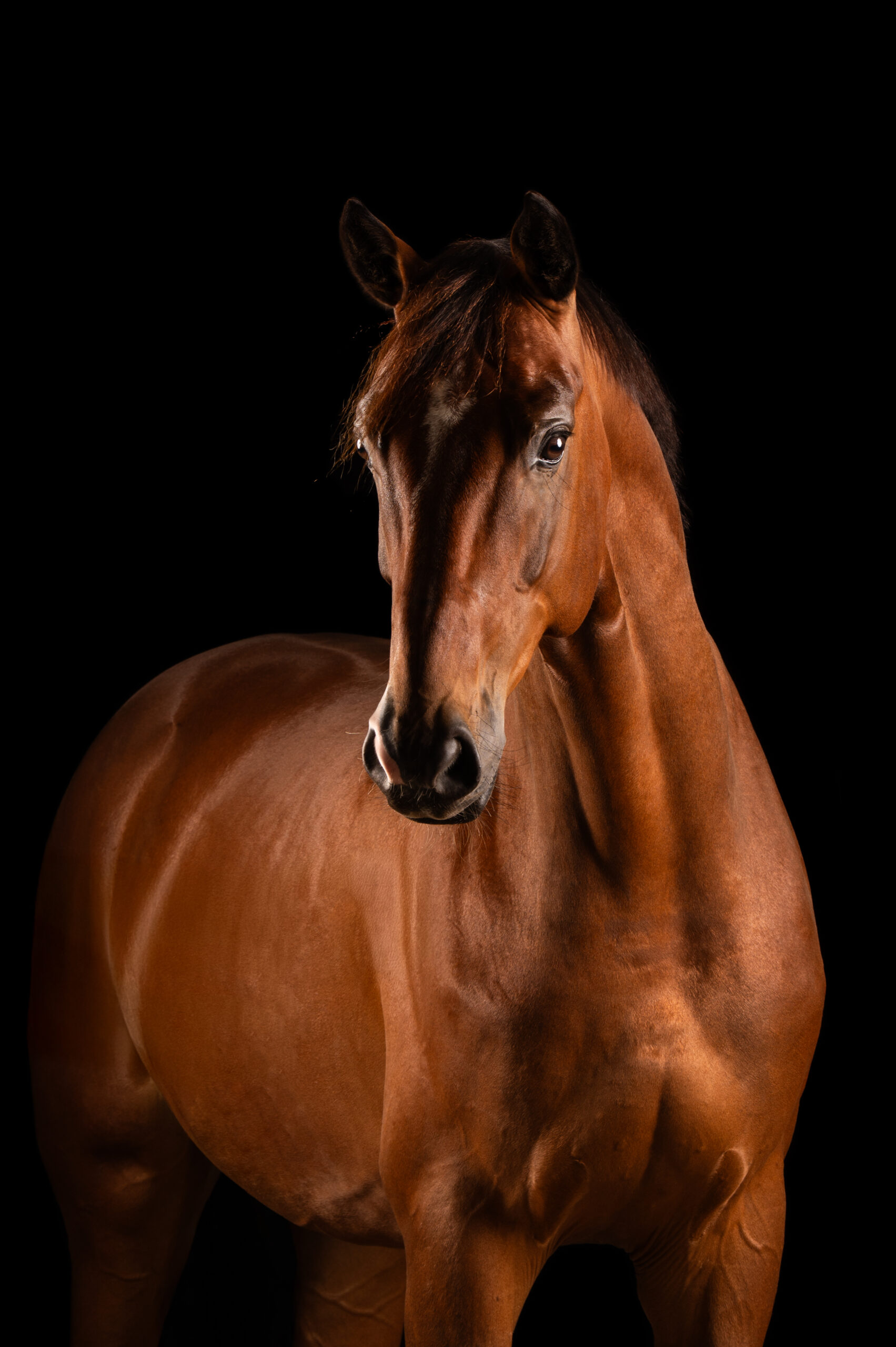 Oklahoma – Deparon U.S. × Spielberg