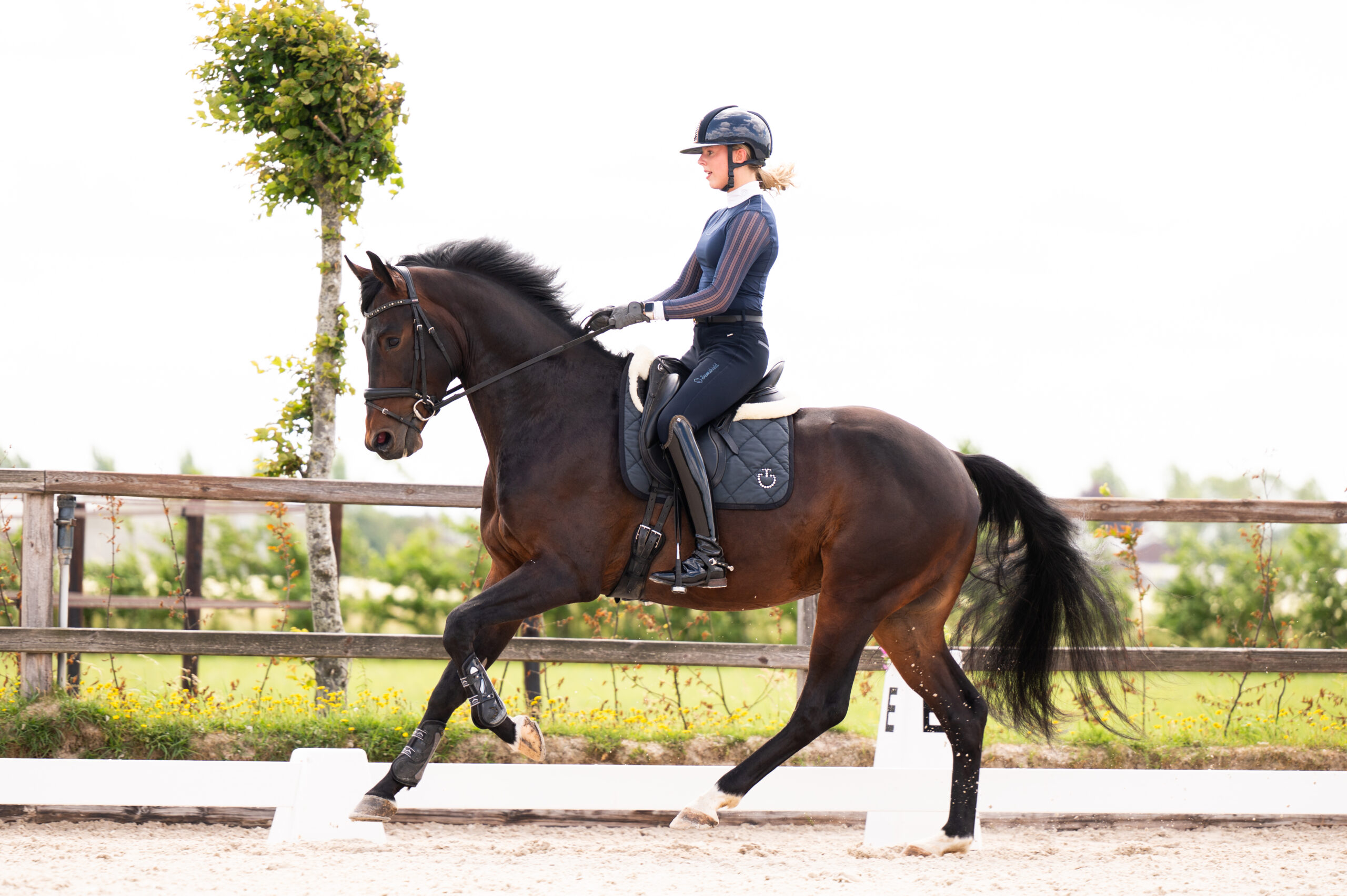 RioVicto S – zijaanzicht