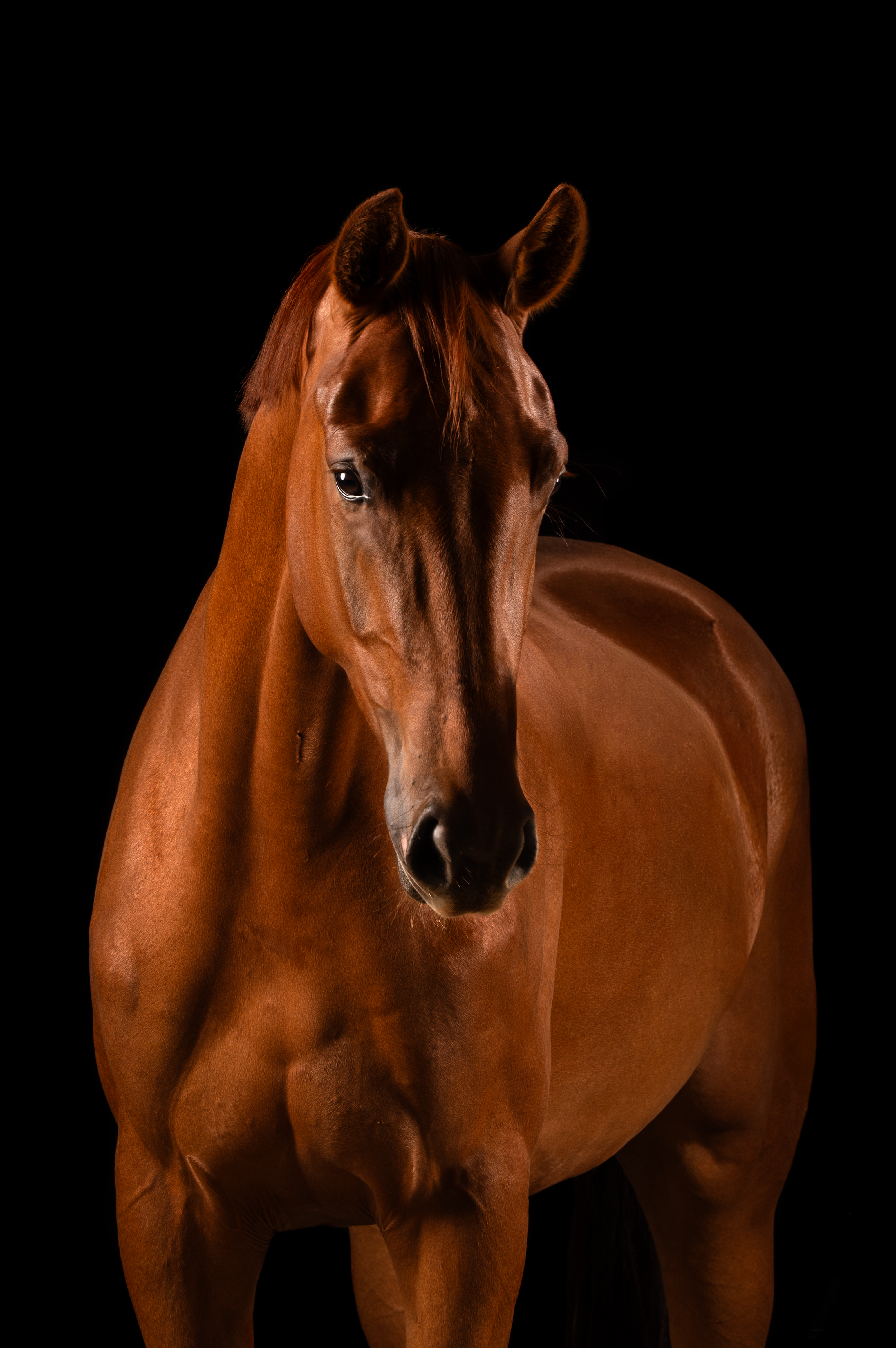 Summerbel Taonga – Kjento × Westpoint