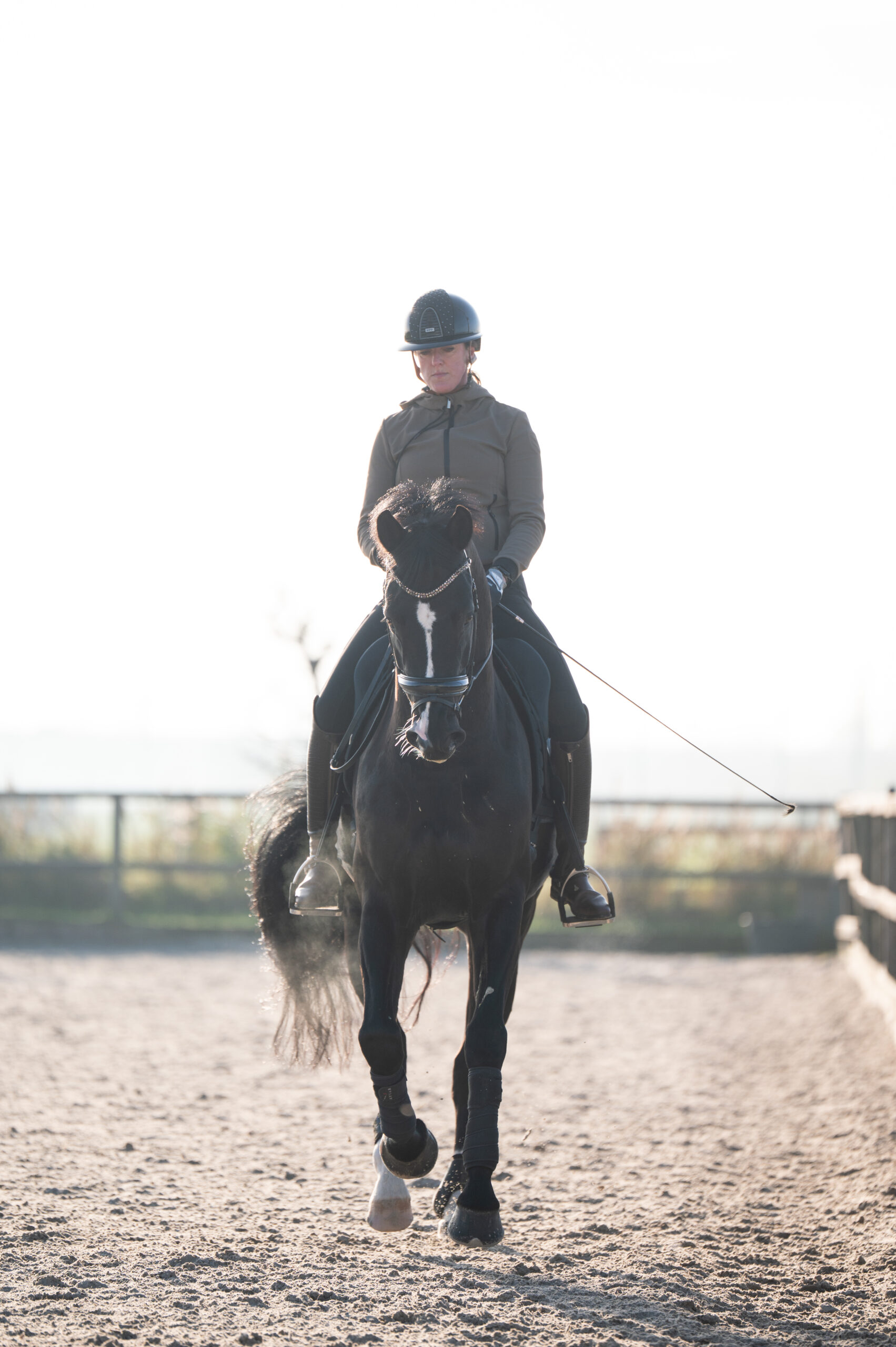 Omega – portret onder het zadel