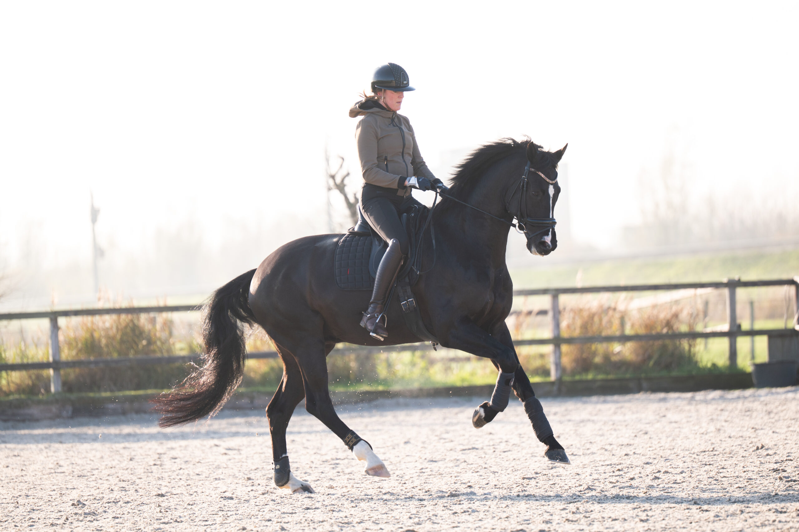 Omega – portret onder het zadel