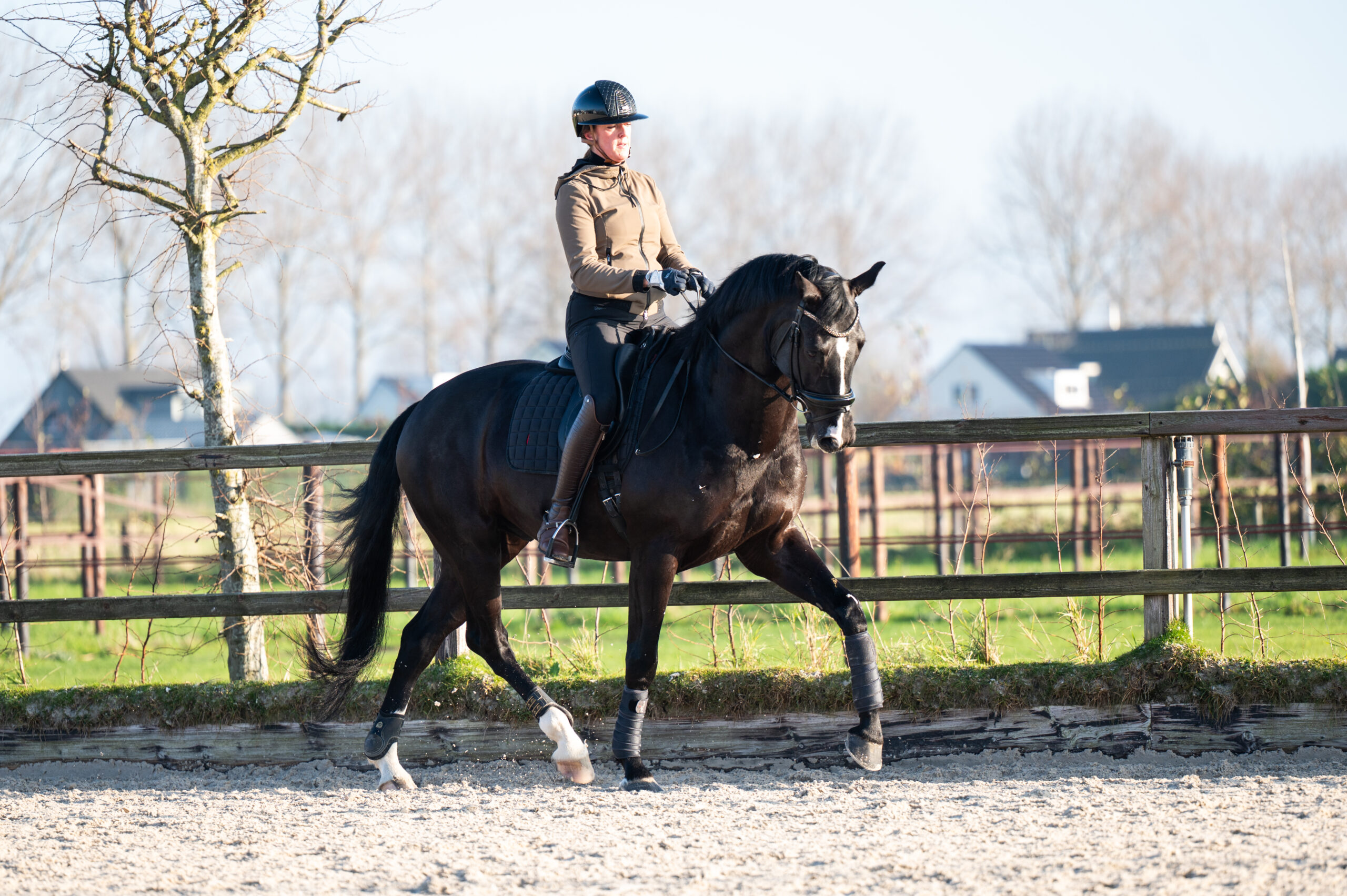 Omega – in beweging