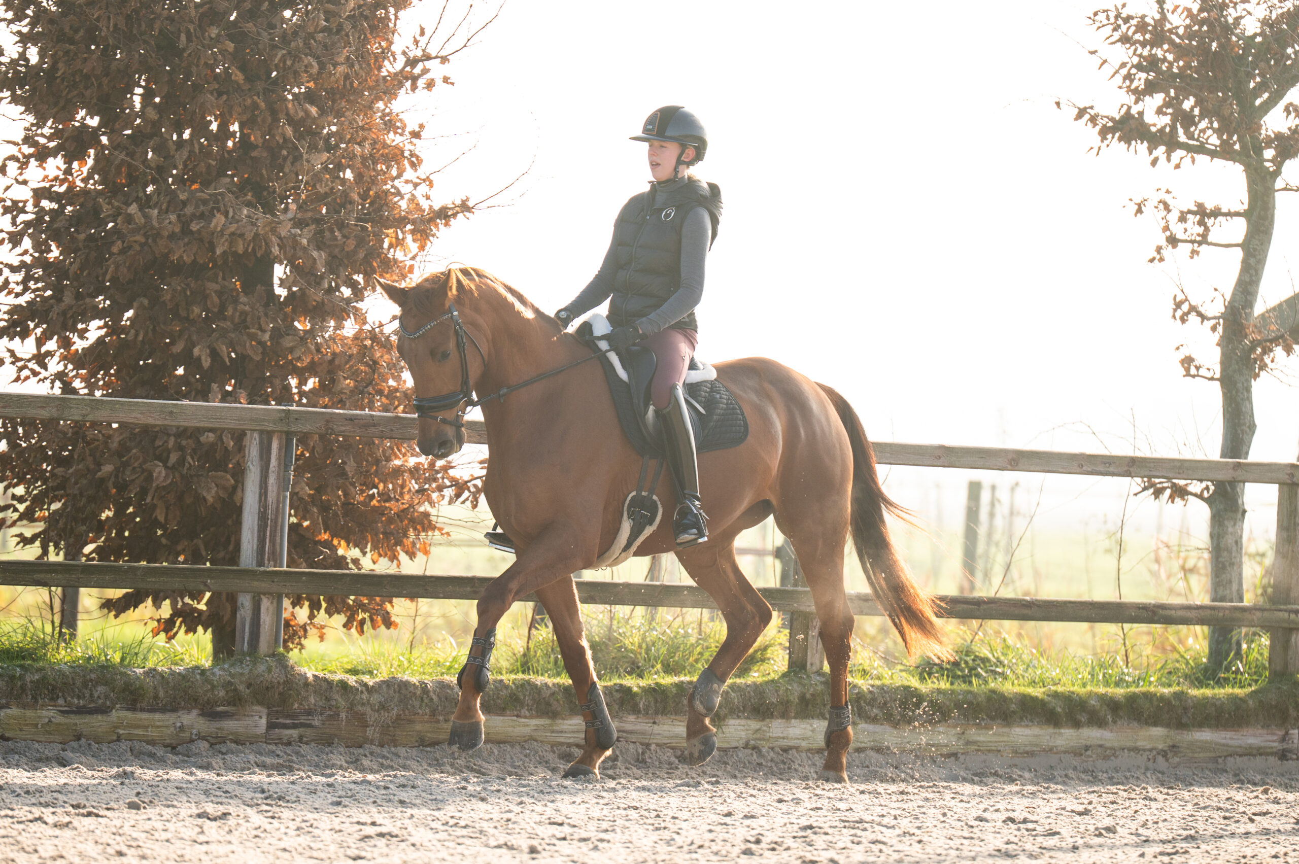 Summerbel Taonga – training 1