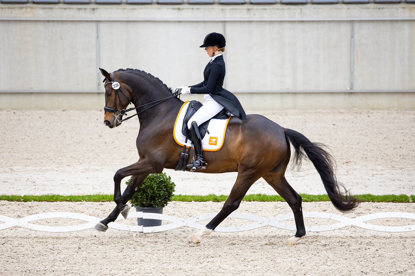 Montreux – portrait